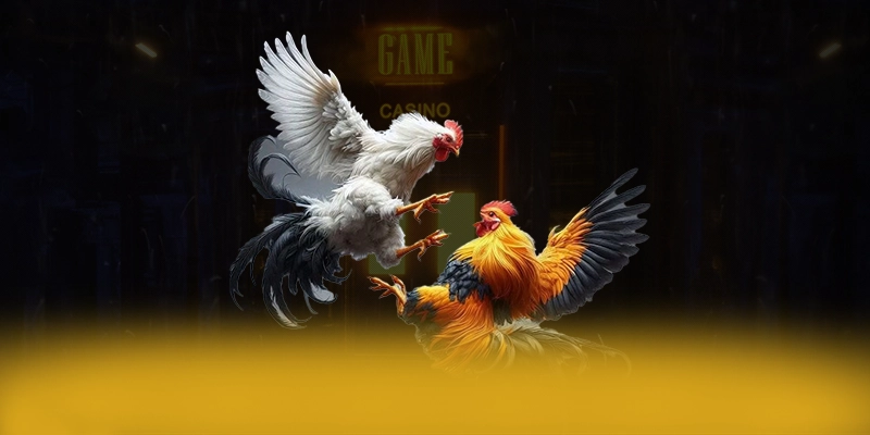 789WIN - Nền tảng cá cược với chương trình tri ân lớn hiện nay – Trải nghiệm 789WIN