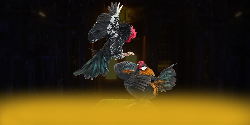 DAGA88 - Sân chơi phổ biến hàng đầu được cộng đồng đánh giá cao