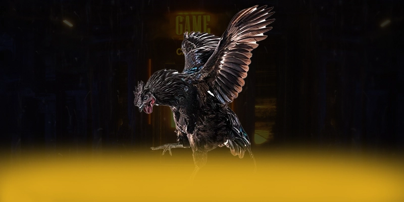 VWIN – Thương hiệu được yêu thích nhất, được cộng đồng đánh giá tích cực. VWIN – Thương hiệu được yêu thích nhất, được cộng đồng đánh giá tích cực.