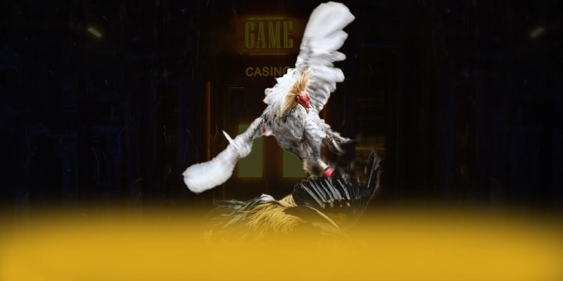 DAGA88 - Nhà cái được game thủ yêu thích 2025 – Khám phá những game hot đến từ DAGA88