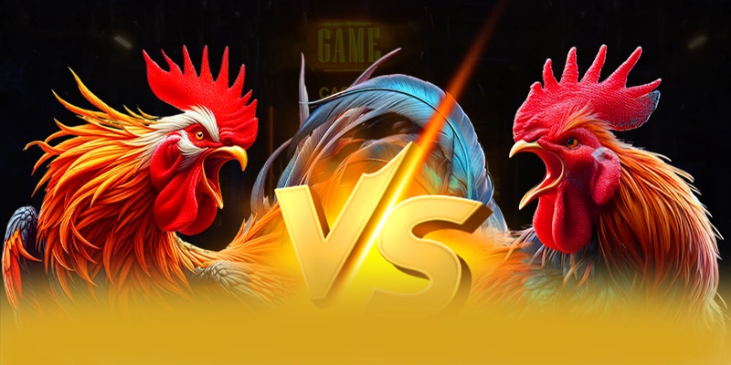 GO8 - Nhà cái được cộng đồng yêu thích nhất trên thị trường – Khám phá những game hot đến từ GO8