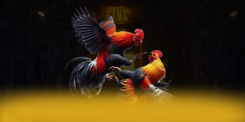 WIN79 - Sảnh game ưu đãi khủng được yêu thích hàng đầu – Khám phá phần thưởng khủng từ WIN79