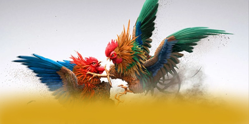 FAFA191 – Nhà cái được tin dùng, được cộng đồng game thủ tin tưởng.