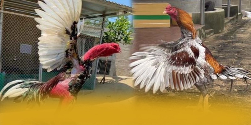 SUNWIN - Thương hiệu game uy tín đạt chuẩn quốc tế được giới chuyên môn đánh giá cao – Khám phá độ uy tín của SUNWIN SUNWIN - Thương hiệu game uy tín đạt chuẩn quốc tế được giới chuyên môn đánh giá cao – Khám phá độ uy tín của SUNWIN