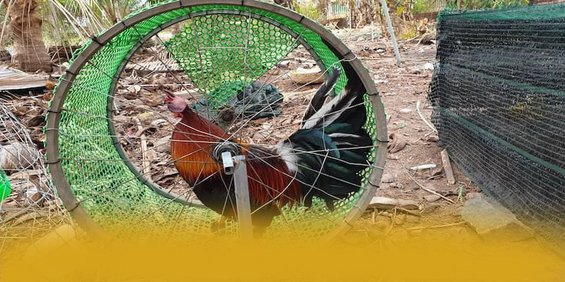 FAFA191 - Sân chơi hào phóng được quan tâm nhất – Săn quà và khuyến mãi hot từ FAFA191