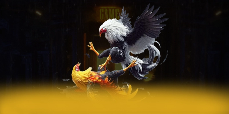 FC88 - Nền tảng cá cược trực tuyến đáng tin cậy được người chơi tin dùng – Khám phá sự an toàn và minh bạch tại FC88